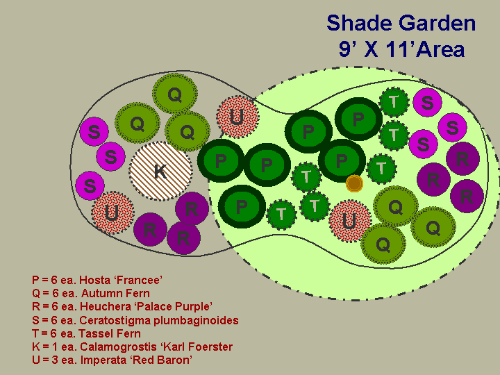 ... type of shade you have before choosing plants for your shade garden